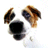 Portrait de Emiloose